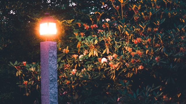 Tuin met kaarsen en lantaarns als natuurlijke verlichting